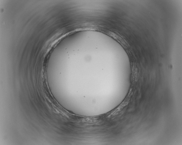 X0000069360338200606021458