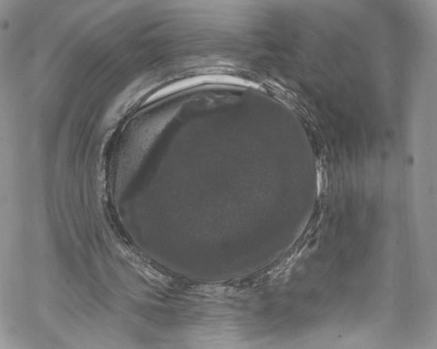 X0000069360339200606021458