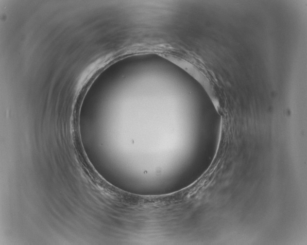 X0000069360340200606021458