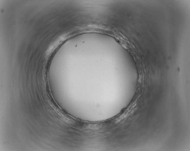 X0000069360341200606021458