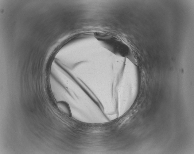 X0000069360342200606021458