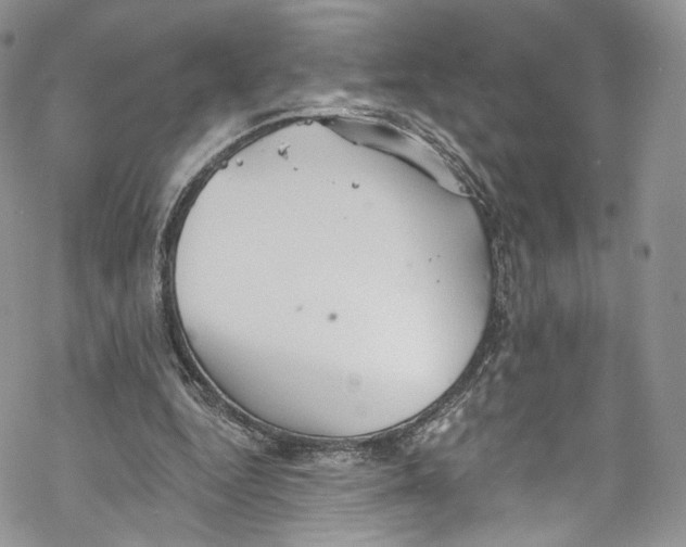 X0000069360344200606021458