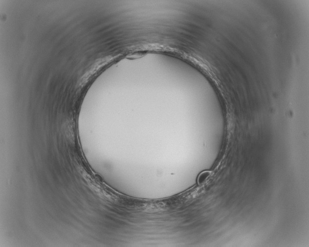 X0000069360345200606021458