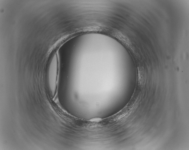 X0000069360348200606021458