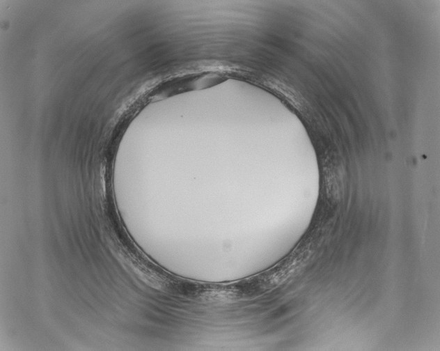 X0000069360350200606021458