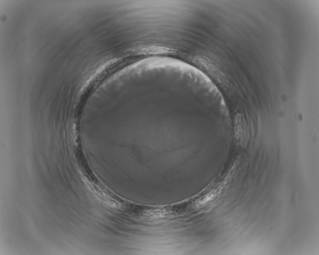 X0000069360351200606021458