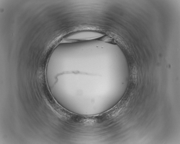 X0000069360352200606021458