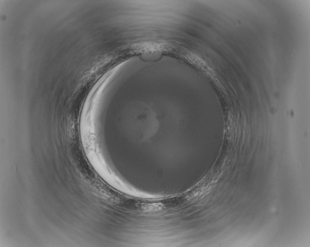 X0000069360355200606021459