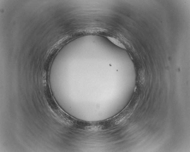 X0000069360356200606021459