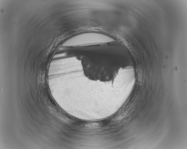 X0000069360357200606021459