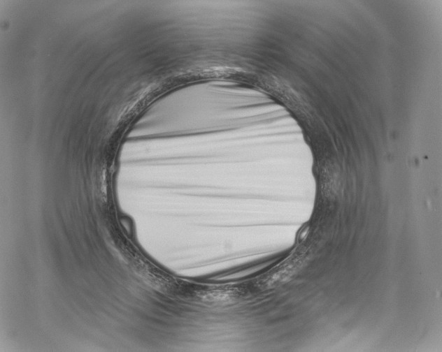 X0000069360358200606021459