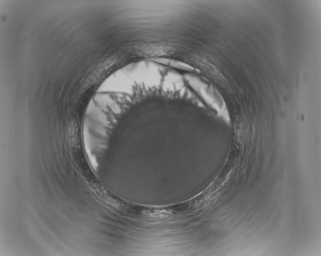 X0000069360359200606021459