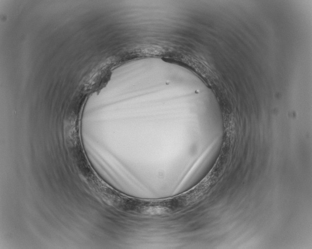 X0000069360360200606021459