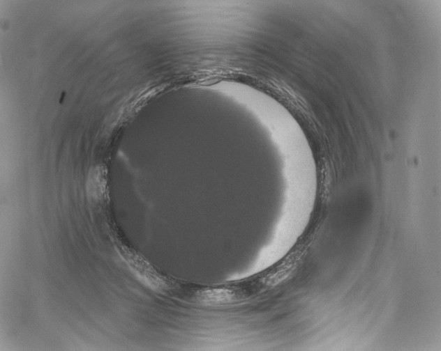 X0000069360361200606021459