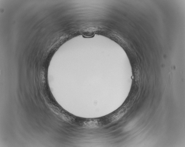 X0000069360362200606021459