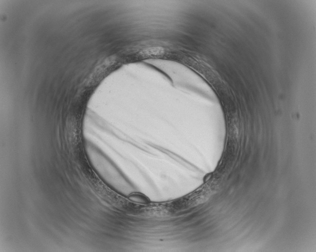 X0000069360363200606021459