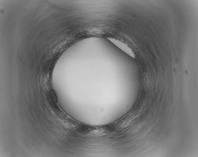 X0000069360364200606021459