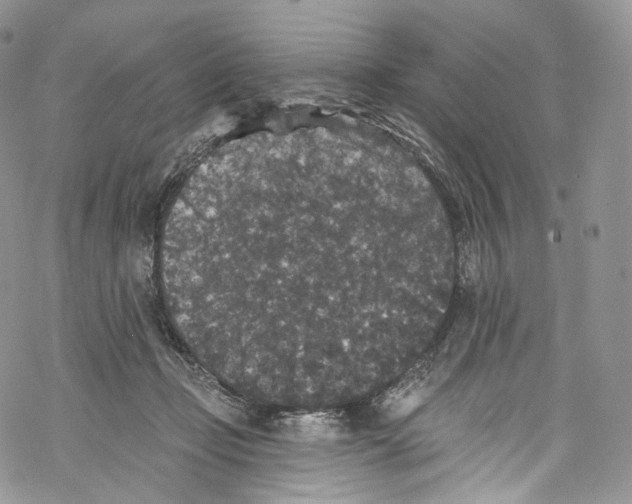 X0000069360365200606021459