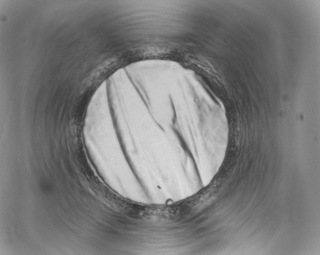 X0000069360366200606021459