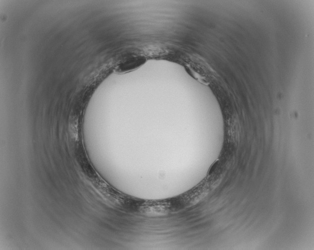 X0000069360368200606021459