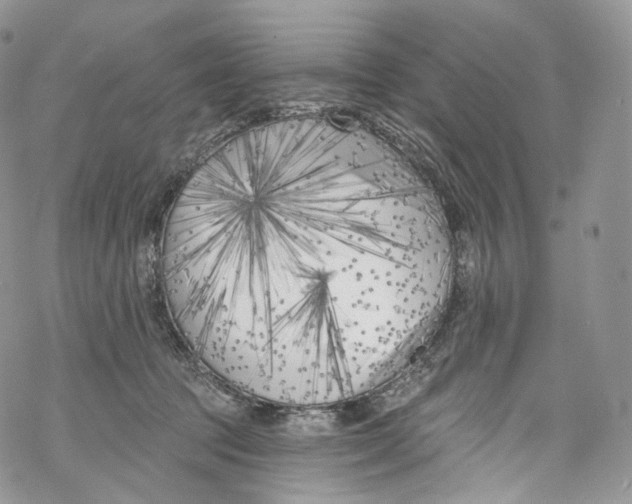 X0000069360369200606021459