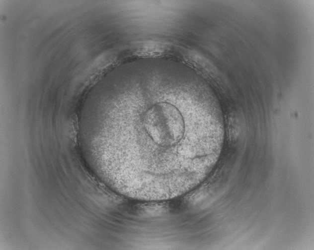 X0000069360370200606021459