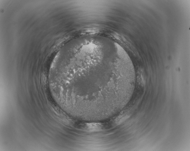 X0000069360371200606021459