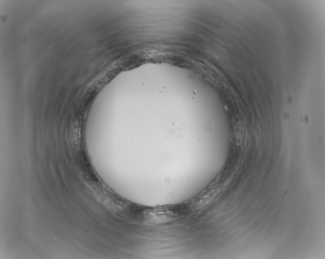 X0000069360372200606021459