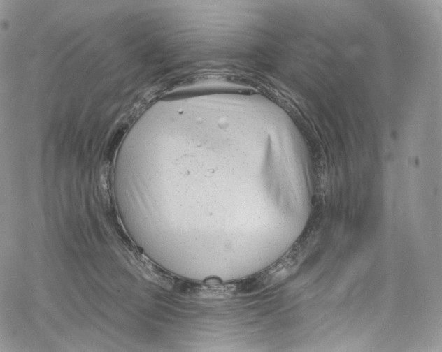 X0000069360373200606021459