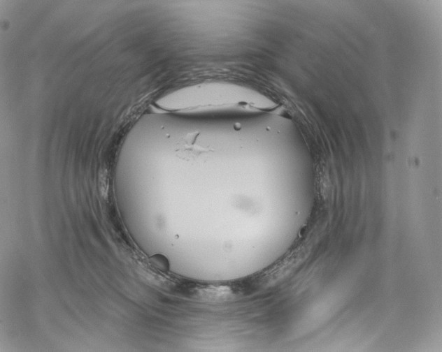 X0000069360374200606021459