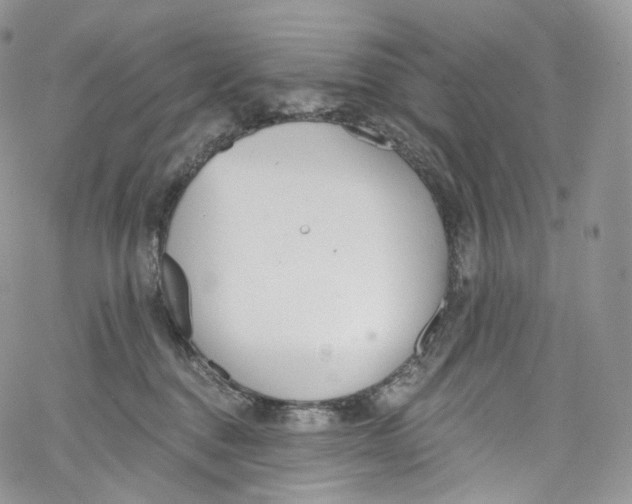 X0000069360376200606021459