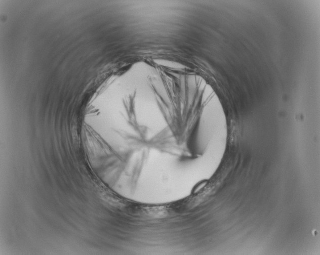 X0000069360377200606021459