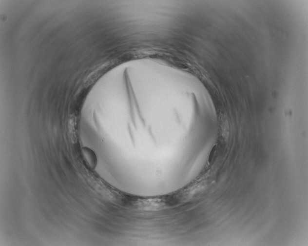 X0000069360378200606021459