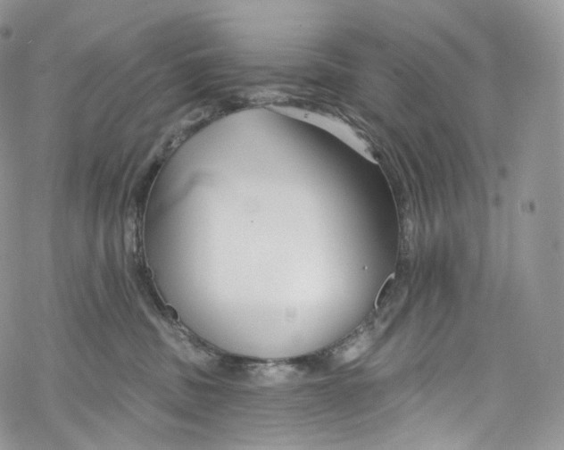 X0000069360379200606021459