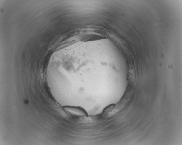 X0000069360381200606021459