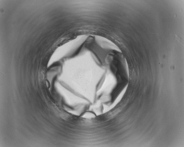 X0000069360382200606021459