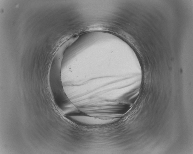 X0000069360385200606021458