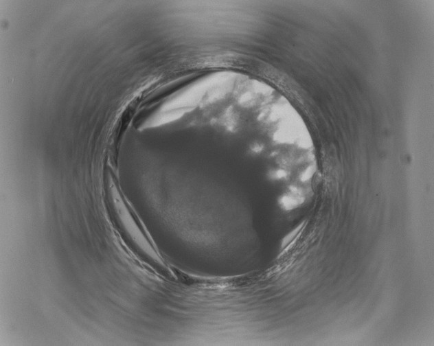 X0000069360386200606021458