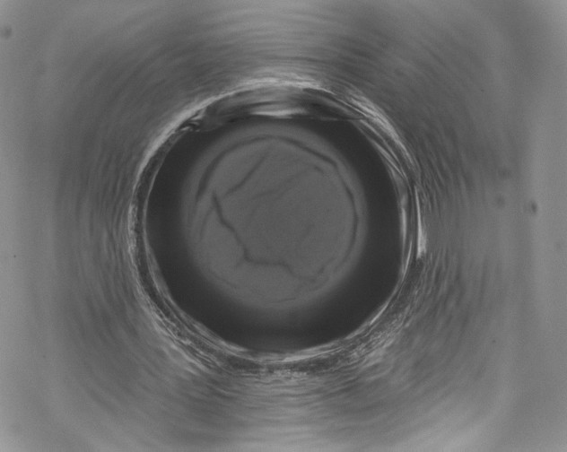 X0000069360387200606021458