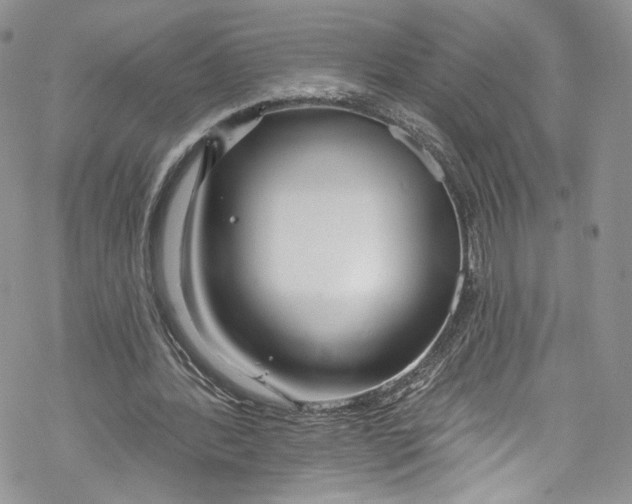 X0000069360388200606021458