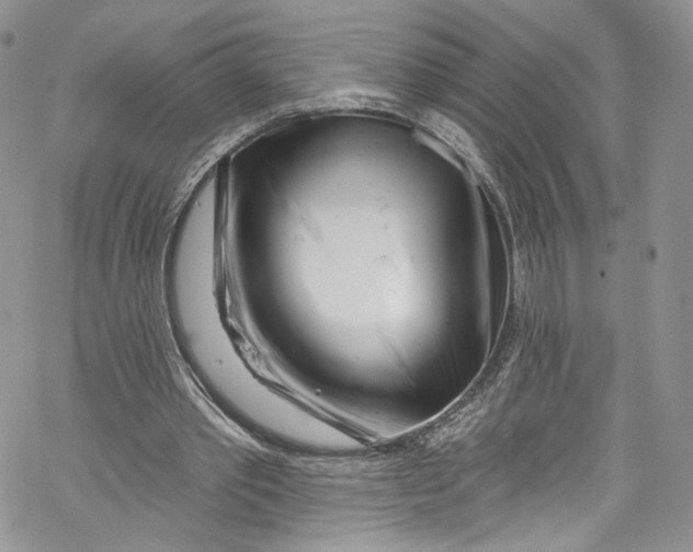 X0000069360389200606021458