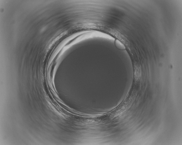 X0000069360390200606021458