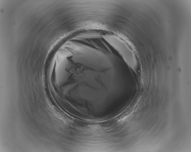 X0000069360391200606021458