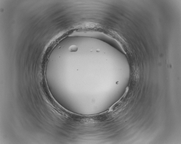 X0000069360392200606021458