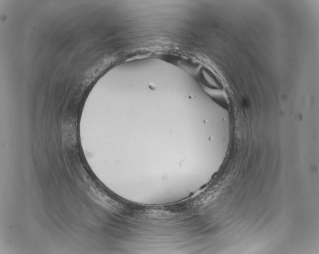 X0000069360393200606021458