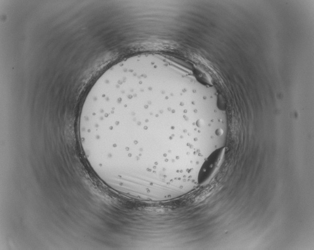 X0000069360394200606021458