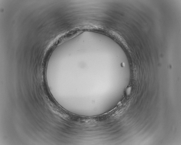 X0000069360395200606021458