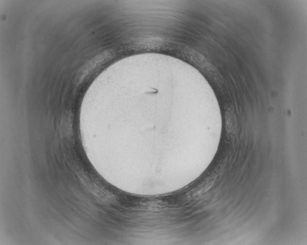 X0000069360396200606021458