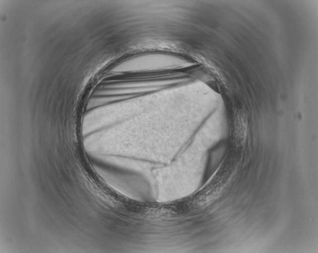 X0000069360399200606021458