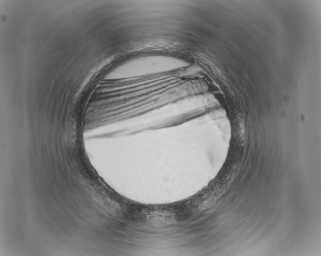 X0000069360400200606021458